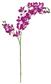 Dendrobrium Orchid x2 35" Purple