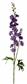 Garden Larkspur 33.5" Lavender