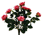 Natural Rose Stem 24" Magenta