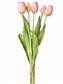 Tulip Bundle 15.25" Blush