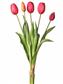 Tulip Bundle 15.25" Hot Pink