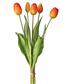 Tulip Bundle 15.25" Orange