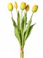 Tulip Bundle 15.25" Yellow