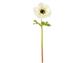Poppy Anemone 17.5" WH