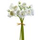 Mini Ranunculus Bundle 10" White
