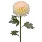 Summer Chrysanthemum 30" Cream Wht.