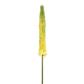 Foxtail Lily Spray 33" Yellow