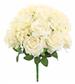 Bridal Rose/Hyd. Bush 18" Ivory