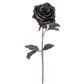Black Magic Rose Spray 21.5" Black