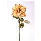 Dried Open Rose Stem 22" Yellow