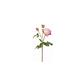 English Titania Rose 22.5" Pink/Red