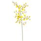 Orchid Dancing Oncidium 36" Yellow