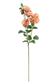 Cabbage Rose Spray 30" Coral