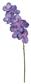 Phalanopsis Orchid 31" Purple