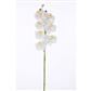 Orchid Stem 27" White