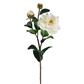 Camellia Stem 28.5" White