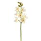 Open Cymbidium Orchid 21" White