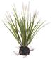 Cattail Grass w/ Soil 15" Green