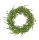 Seeding Juniper Wreath 6.5" Gree