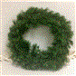 Brighton Sp. Dble. Wreath 36" Gr