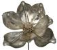 Magnolia Glimmer Pick 10" Plat.