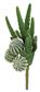 Cactus Bundle 13" Green