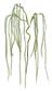 Weeping Willow Branch 62" Gre