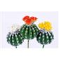 Flower Barrel Cactus 3Asst 8"