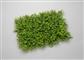 Boxwood Fern Grass Mat 24" Green