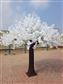 Giant Cherry Blossom Tree 13' Cream