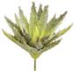 Soft Aloe Pick 6.5" GR