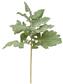 Dusty Miller Stem 17" Frosted Green