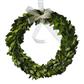 Mini Boxwood Circle Wreath 10"
