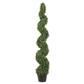 Spiral Topiary 5' Green