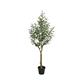 Olive Tree in Fibre Pot 60" Green