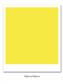 DM Absorbit Yellow Yellow 4oz