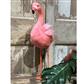 Flamingo 17" Pink
