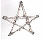 Birch Star Orn 9"  Frosted