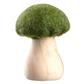 Mushroom 3.5" Green
