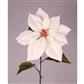 Poinsettia Natural 28" White