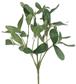 Mistletoe Bush 10" Grn