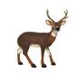 Deer With Antlers 22"x 25" Wool Brown