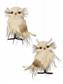 Natural Snow Owl Orn 5.75" Nat/Cream